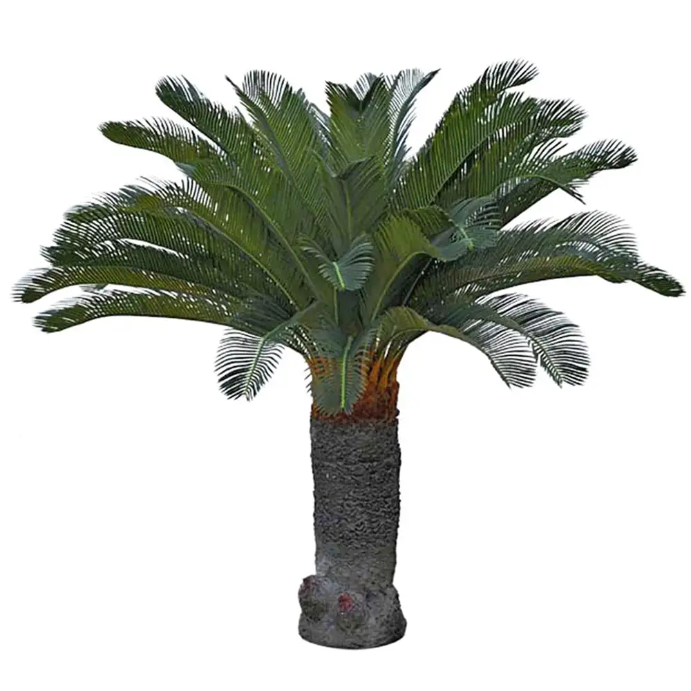 Mr Plant Cycas Palmu 100 cm