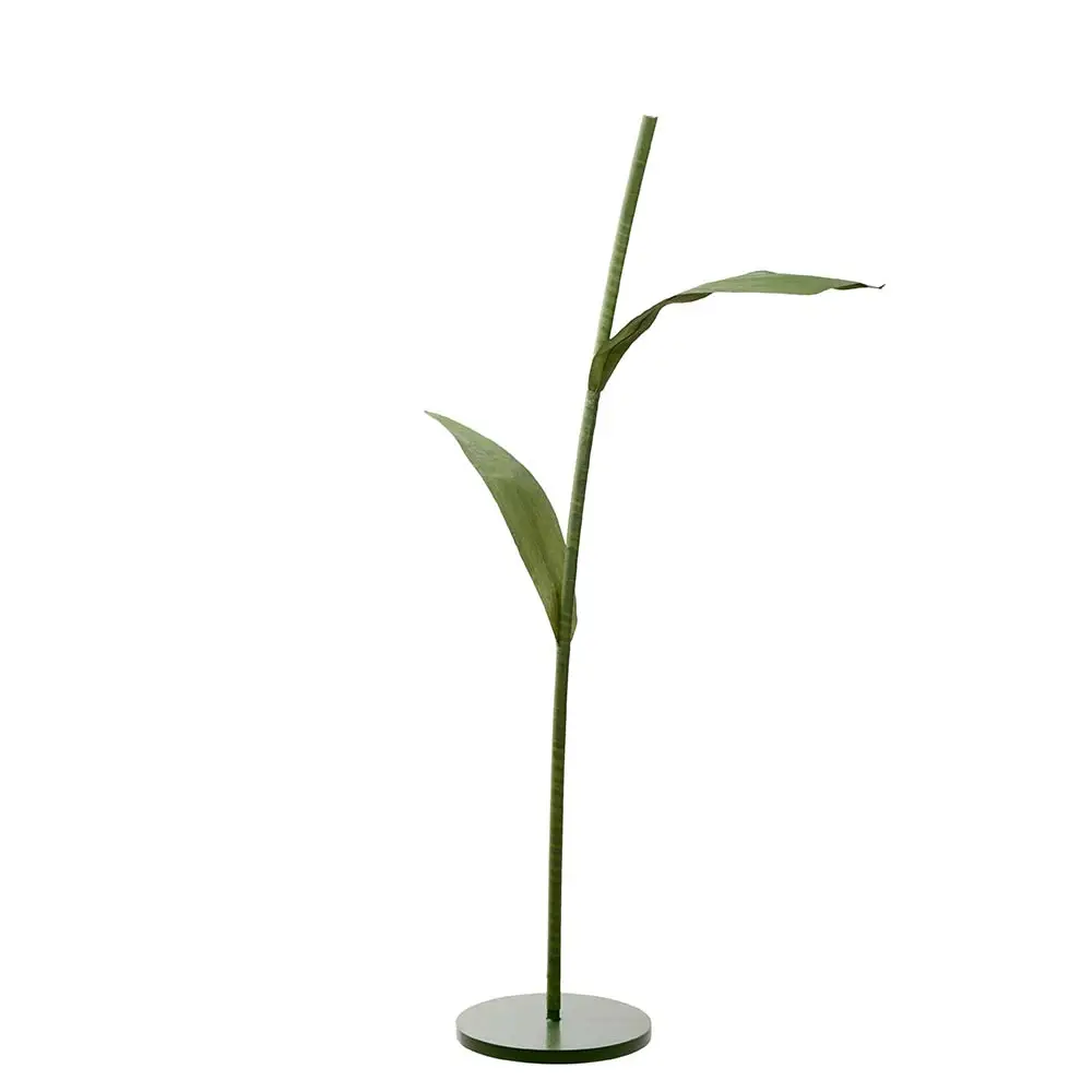 Mr Plant, Varsi 160 cm