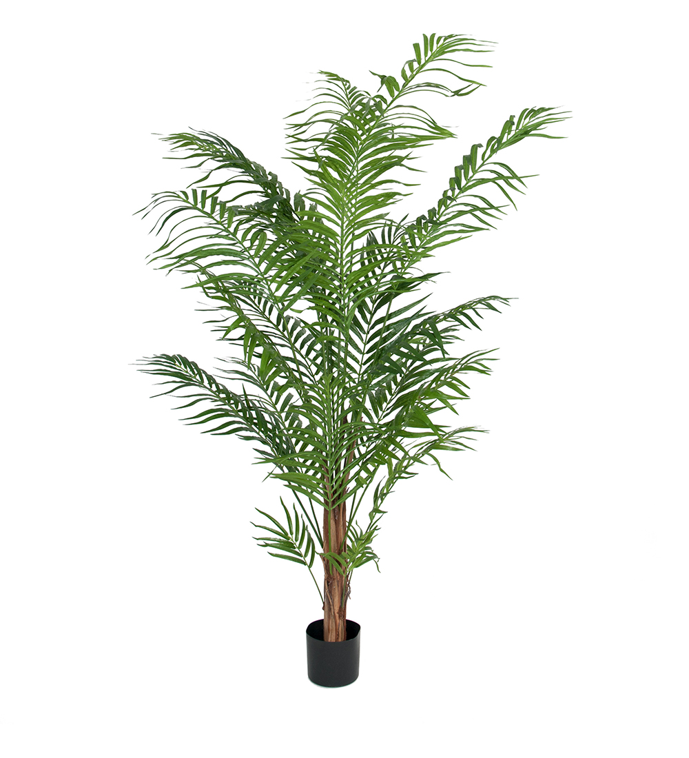 Mr Plant Arecapalmu 180 cm