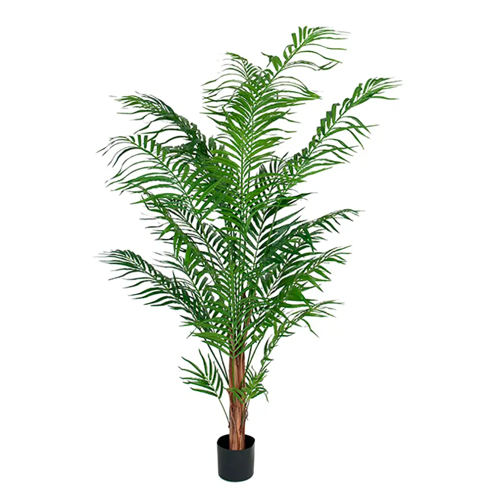 Mr Plant Arecapalmu 150 cm