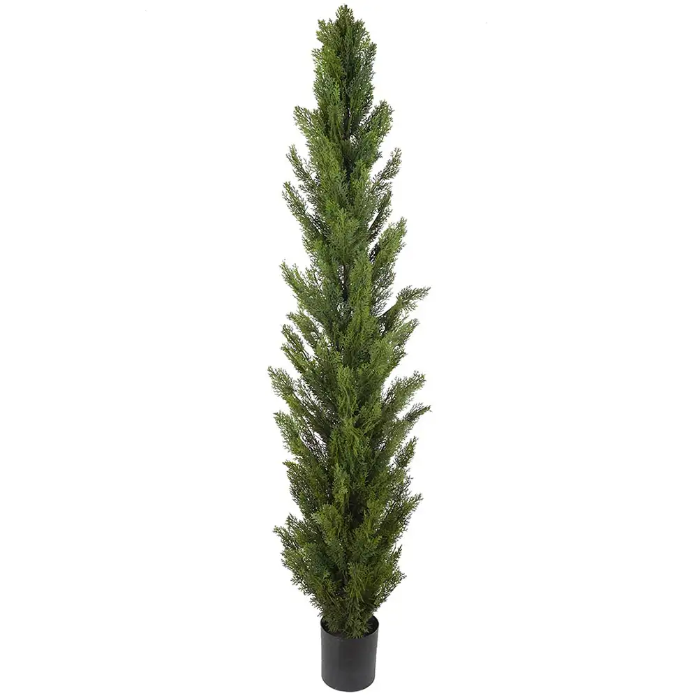 Mr Plant Sypressipuu 210 cm