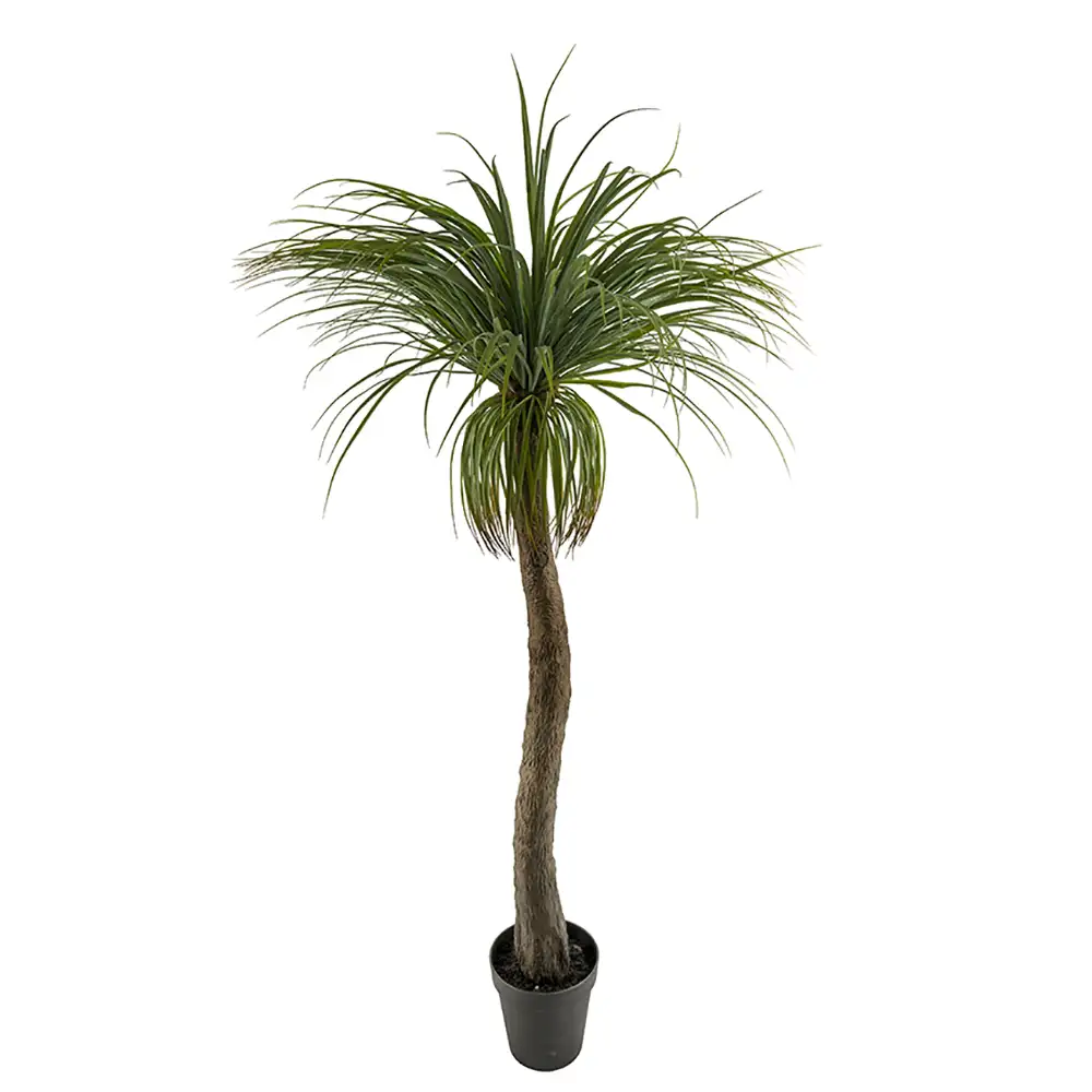 Mr Plant Pullo lilja 180 cm