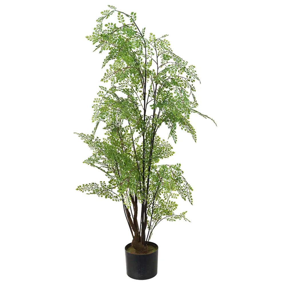 Mr Plant Adiantum Puu 100 cm