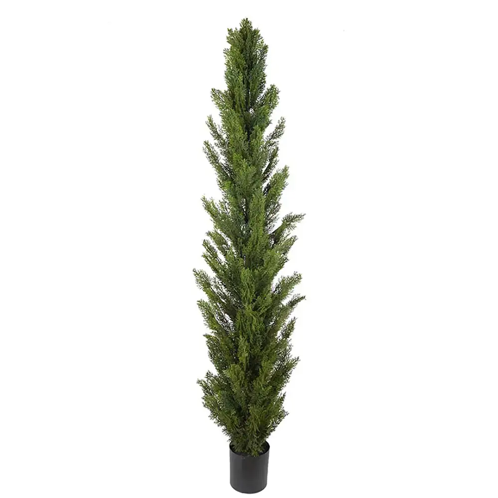 Mr Plant Sypressipuu 120 cm