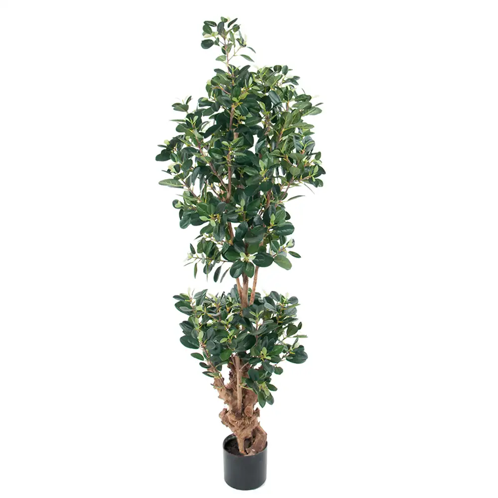 Mr Plant Panda viikuna 120 cm