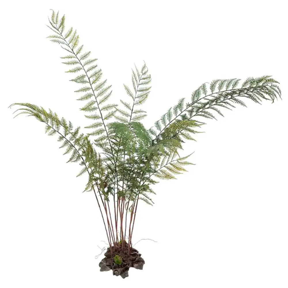 Mr Plant Saniaiset 80 cm