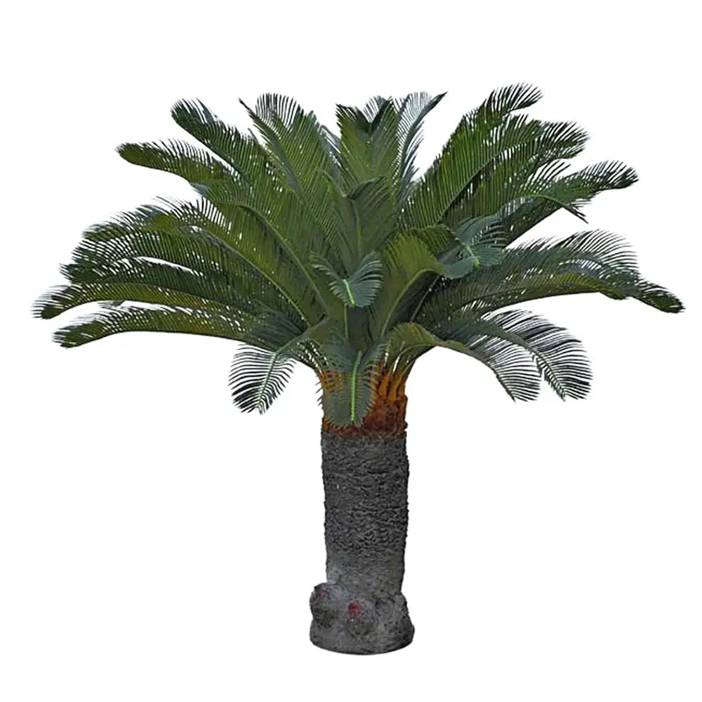 Mr Plant Cycas Palmu 130 cm