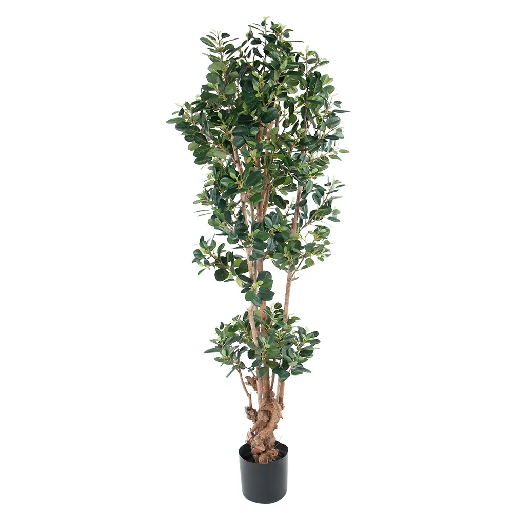 Mr Plant Panda viikuna 150 cm