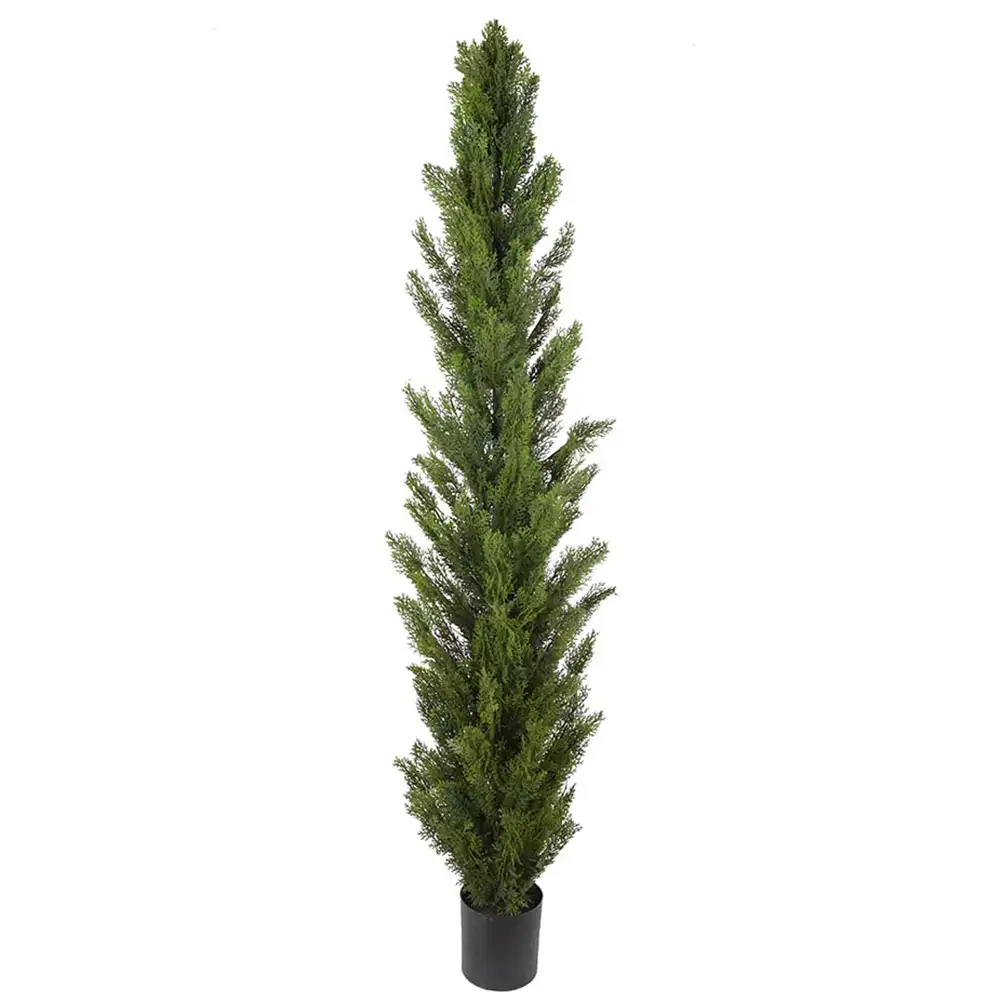 Mr Plant Sypressipuu 150 cm