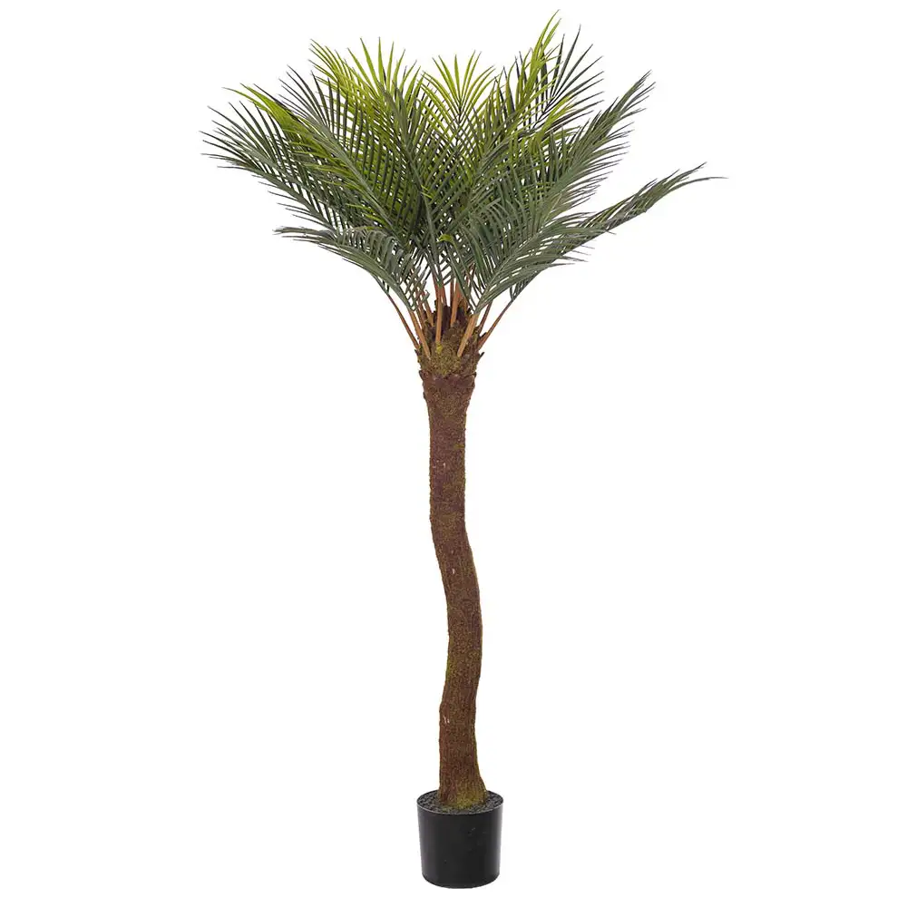 Mr Plant Cycas Palmu 120 cm