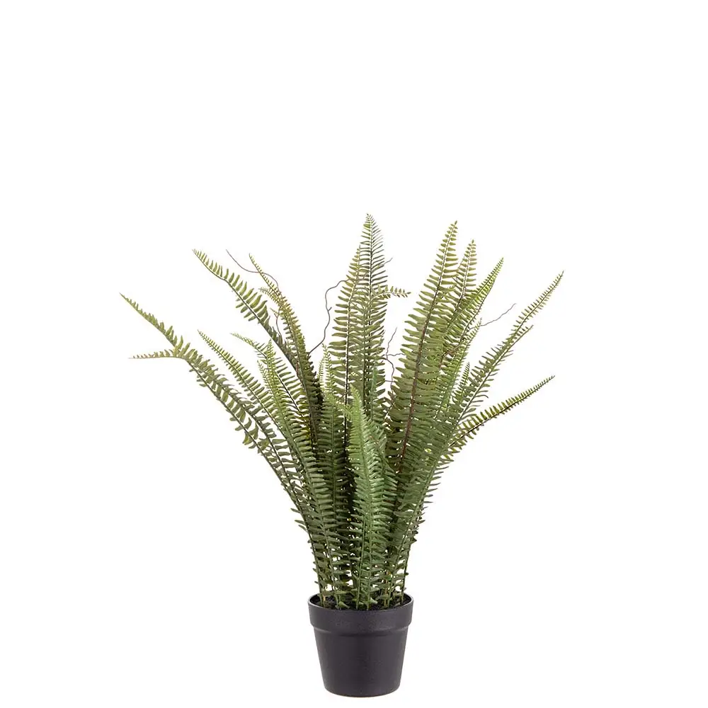 Mr Plant, Saniainen ruukku 75 cm