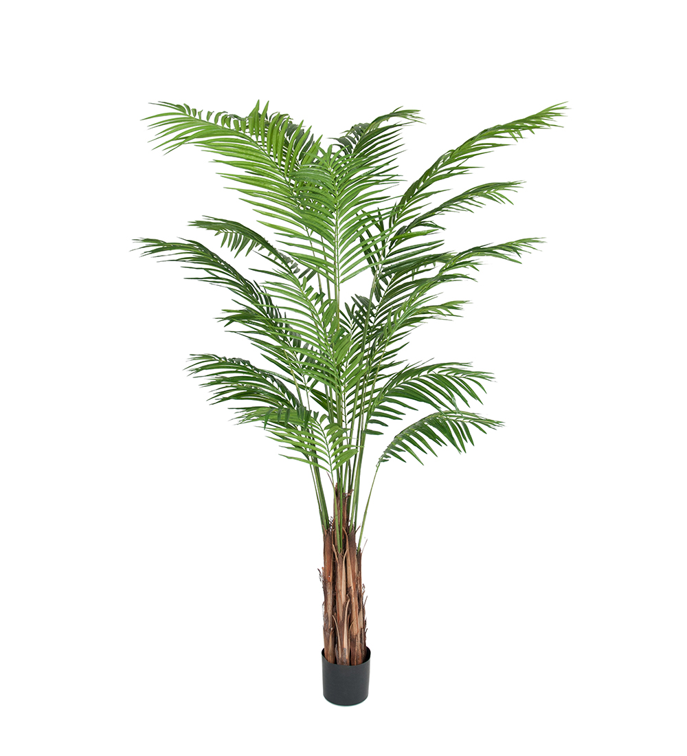 Mr Plant Arecapalmu 210 cm