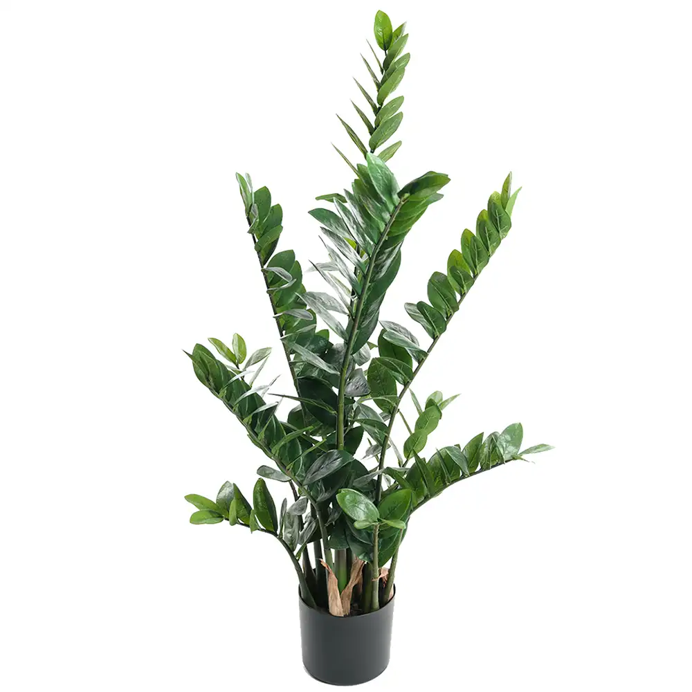 Mr Plant Zamifolia Huonekasvi 110 cm