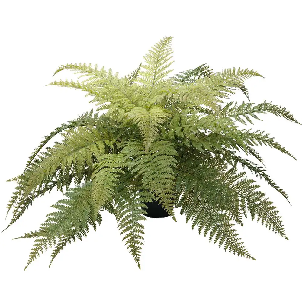 Mr Plant Saniaiset 45 cm