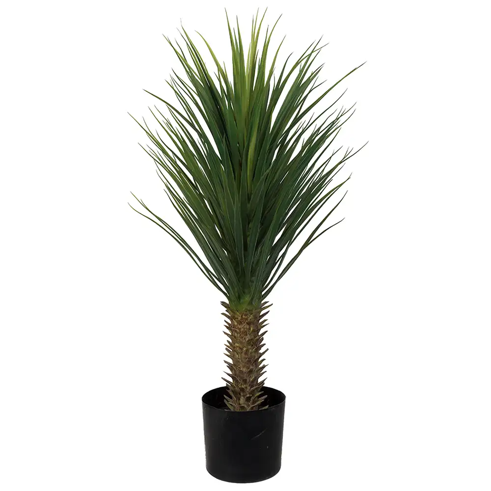 Mr Plant Yucca Rostrata Puu 100 cm