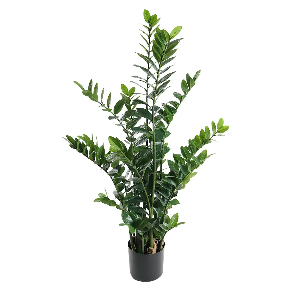 Mr Plant Zamifolia Huonekasvi 130 cm