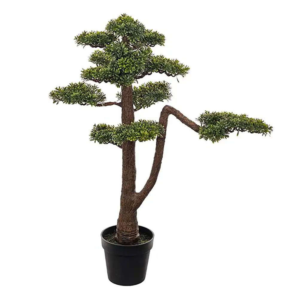 Mr Plant Bonsai Puu 95 cm