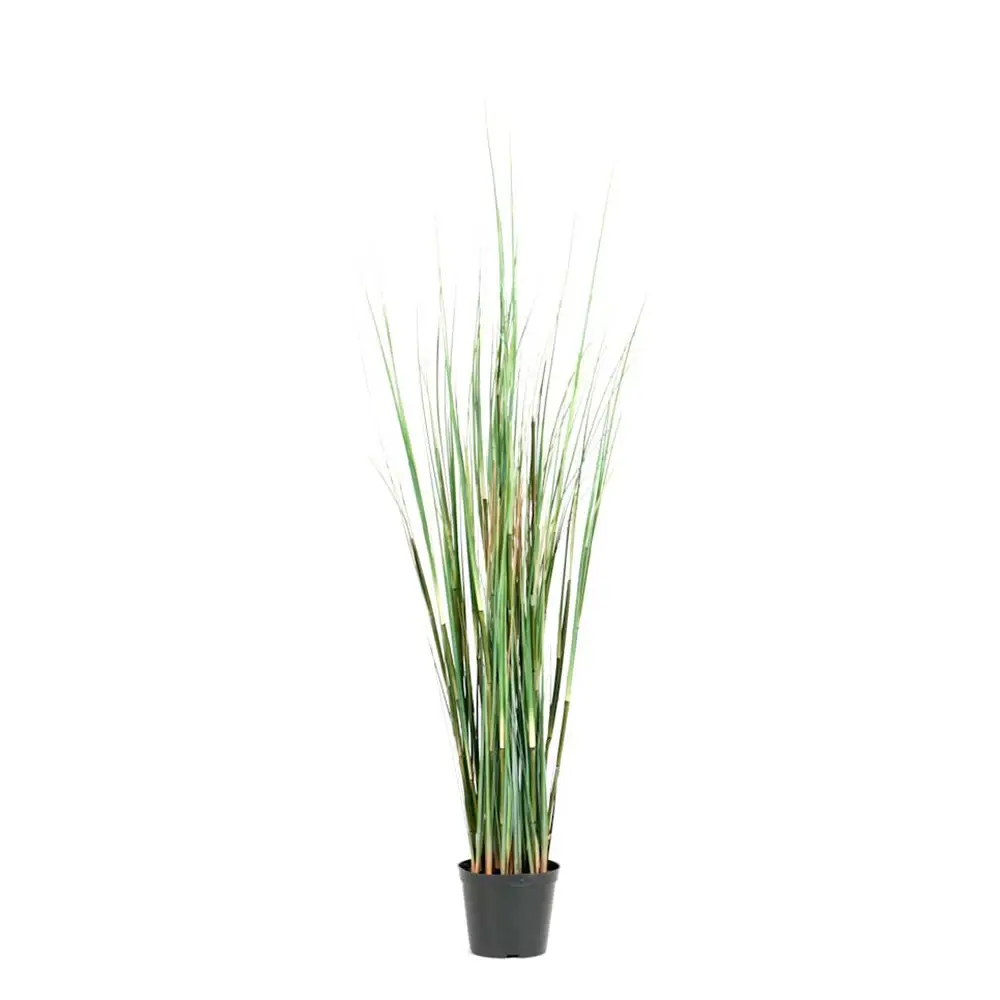 Mr Plant, Ruoho 95 cm