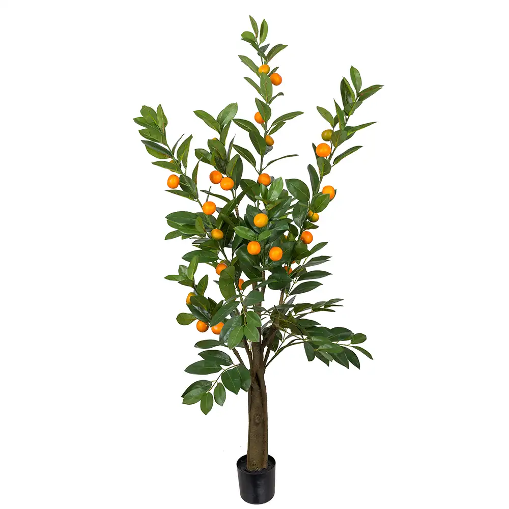 Mr Plant Sitruspuu 150 cm