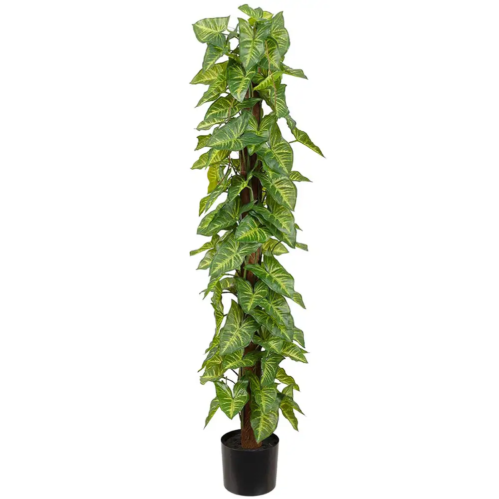 Mr Plant Hanhenjalka Puu 120 cm